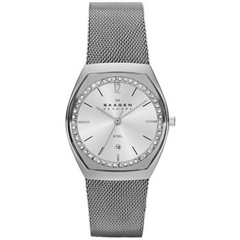 Skagen KLASSIK Ladies Watch SKW2049